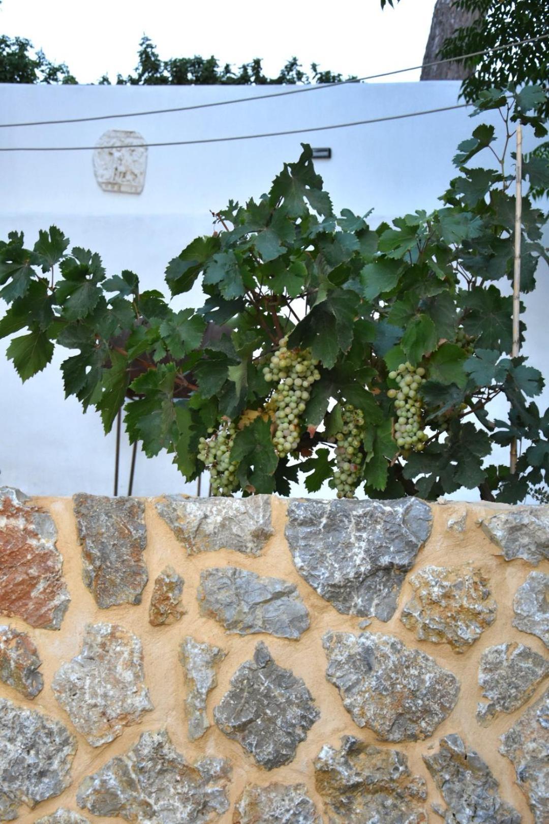 Rustic Private Cottage W/ King Bed In Galanado Naxos Quarto foto